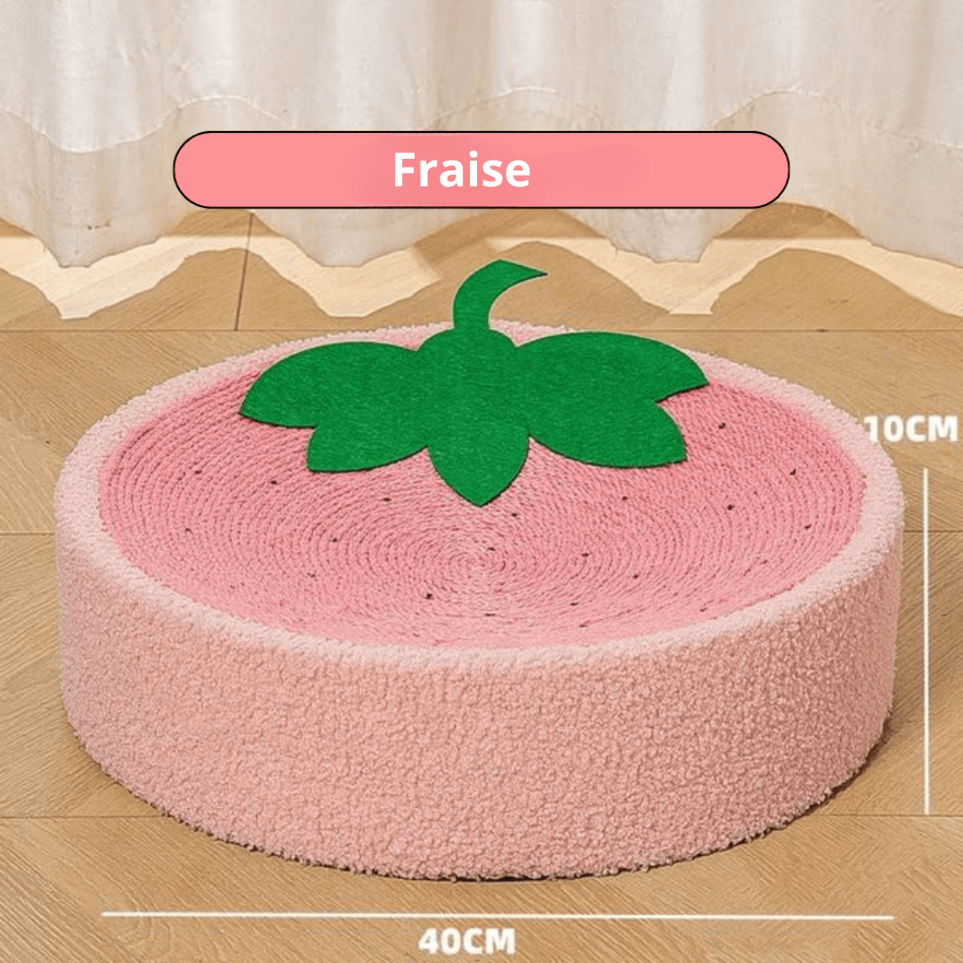 Griffoir Lit pour Chats