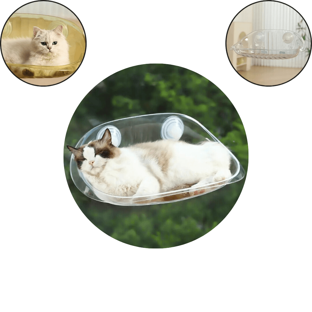 Lit Suspendu Moderne pour Chats